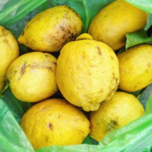 limoni di amalfi limoni di Amalfi